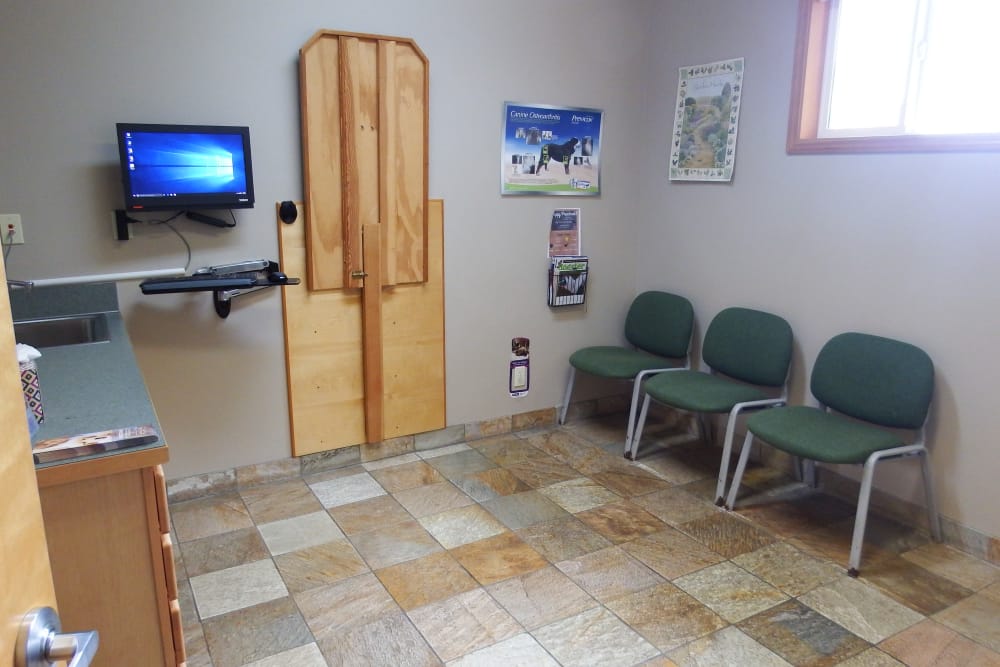 Angeles Clinic for Animals Examination Room