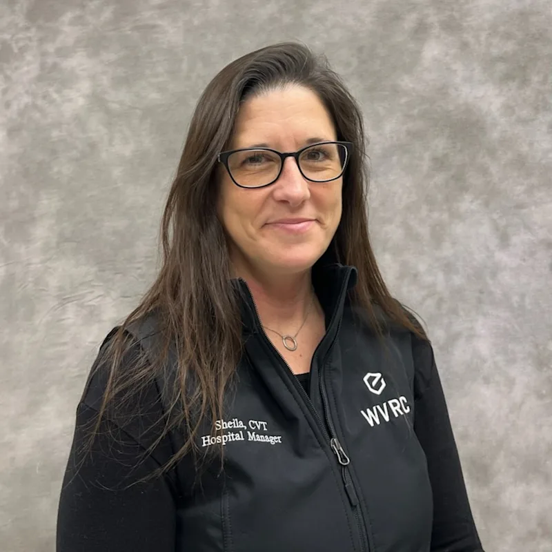 Sheila Veksler Sheila Veksler