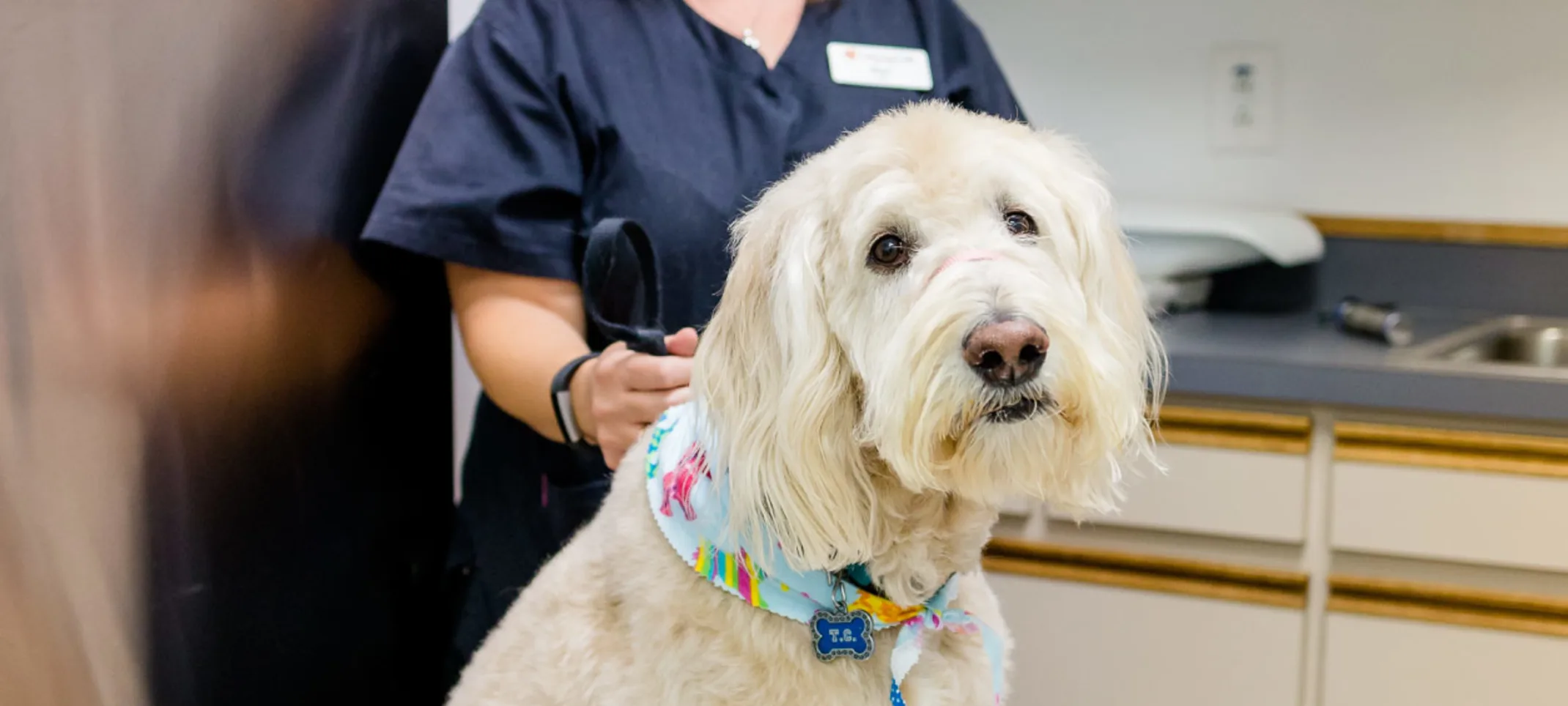 East Springs Animal Hospital staff with big white dog. East Springs Animal Hospital staff with big white dog.