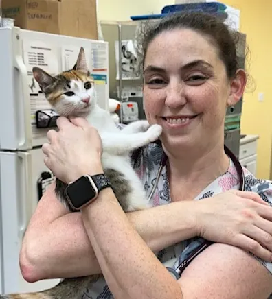 Dr. Dana Chapman Dr. Dana Chapman