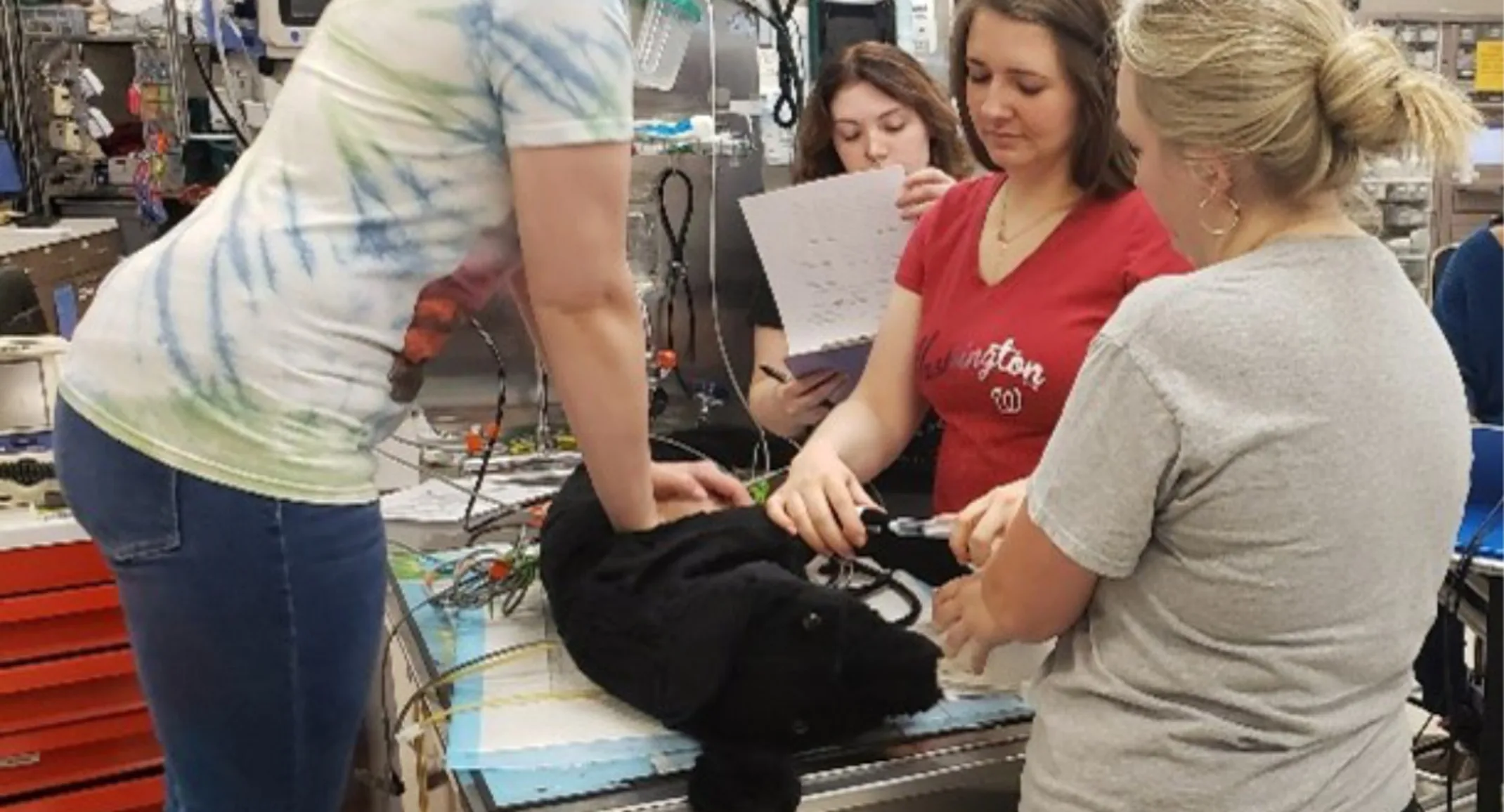 Three staff members performing CPR on a fake animal Three staff members performing CPR on a fake animal