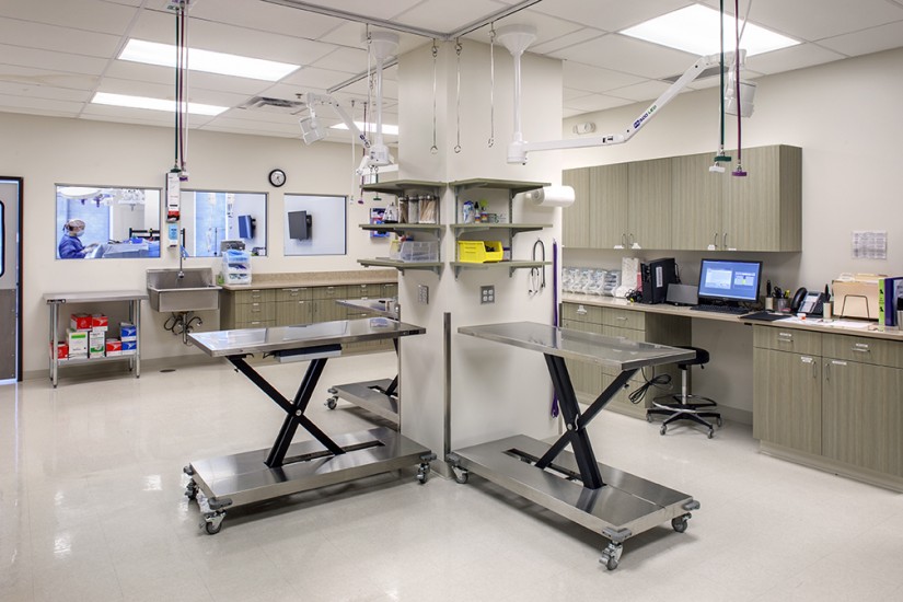 In-house laboratory at AVES