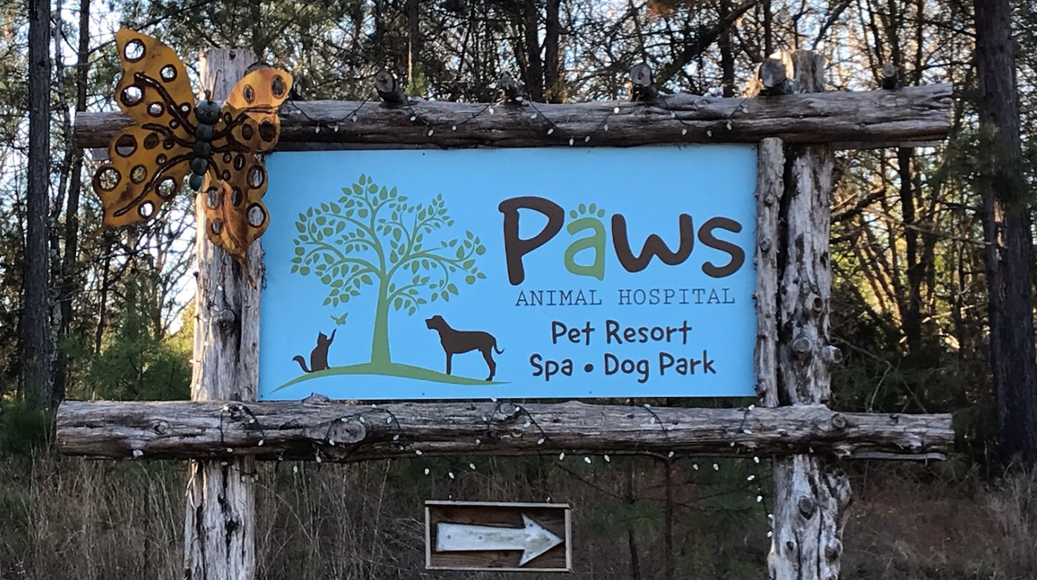 Veterinary Care in Oxford, MS Pampered Paws Animal Hospital