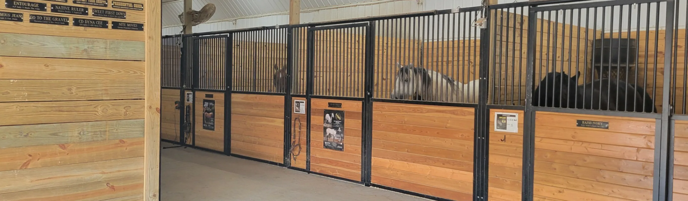 Stables inside Abrahams Equine Clinic Stables inside Abrahams Equine Clinic