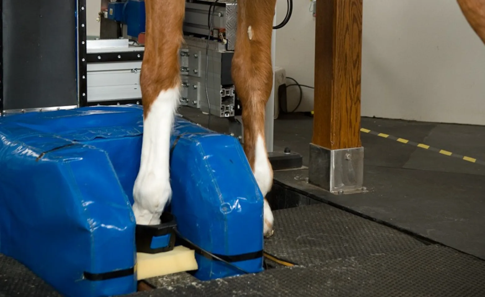 Hallmarq Standing MRI Hallmarq Standing MRI