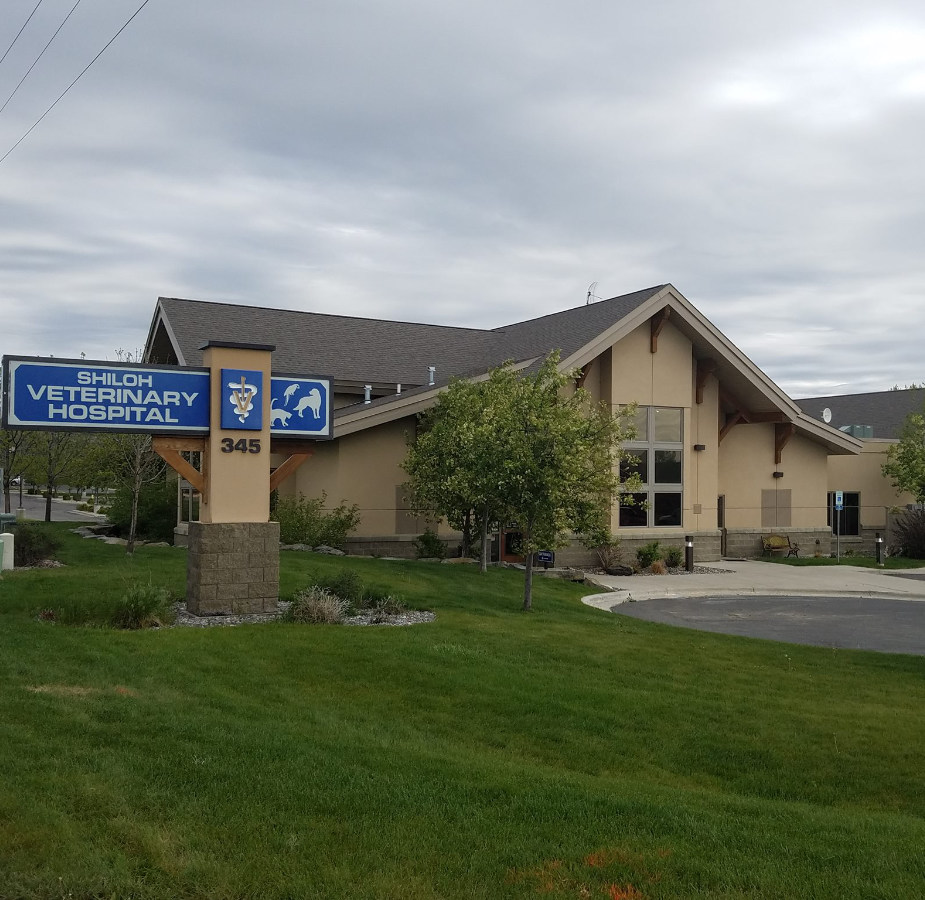 Exterior of Shiloh Veterinary Hospital