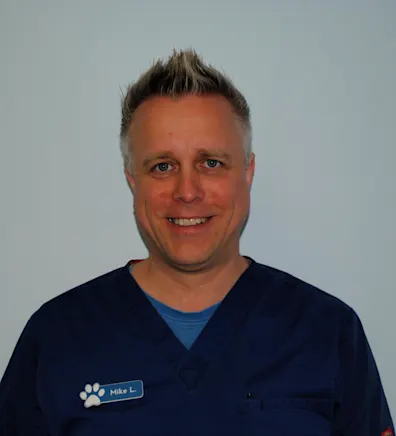 Mike Levitsky Mike Levitsky