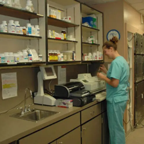 Lab technician at work. Lab technician at work.