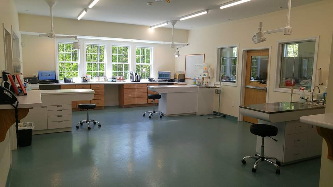 Wide shot of the exam room.