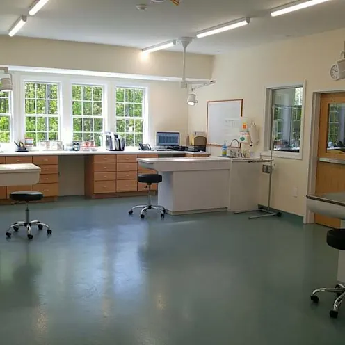 Wide shot of the exam room. Wide shot of the exam room.