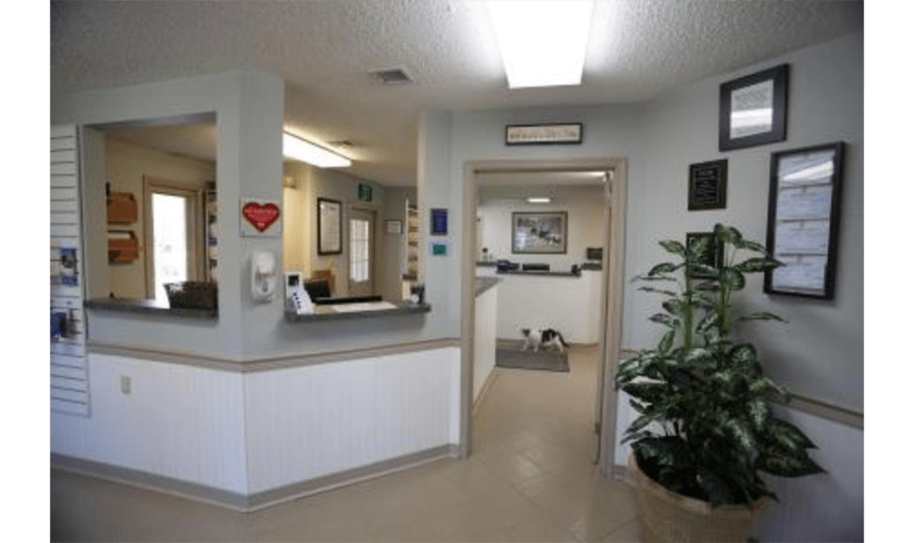 Princess Anne Veterinary Hospital Lobby
