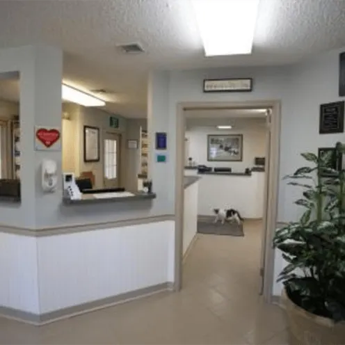 Princess Anne Veterinary Hospital Lobby