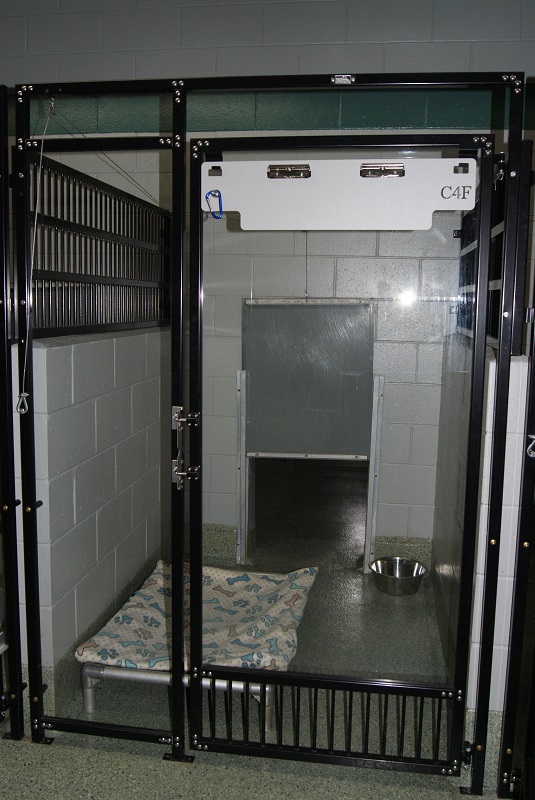 Bay Pines Veterinary Clinic Dog Room