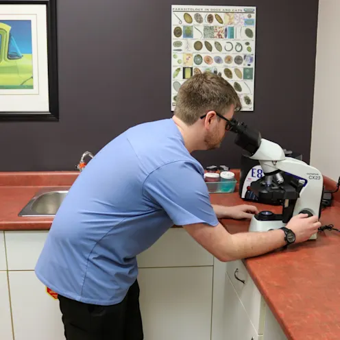 BR Micsorscope BR Micsorscope