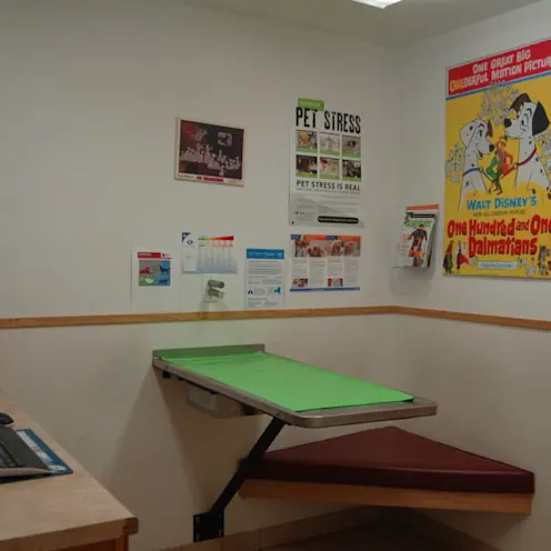 exam room and table at Kenmore Animal Hospital exam room and table at Kenmore Animal Hospital