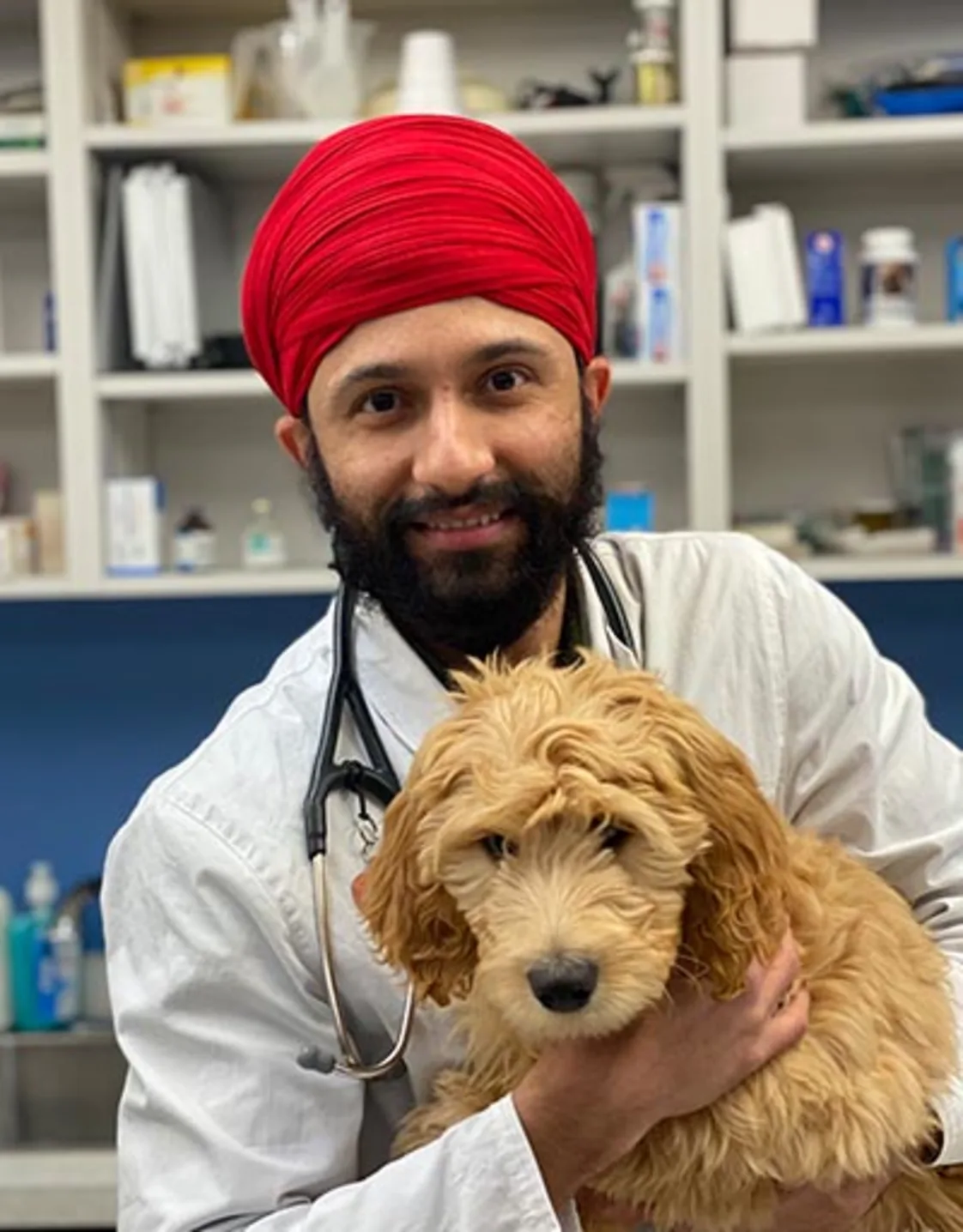 Harmandeep Gill Harmandeep Gill