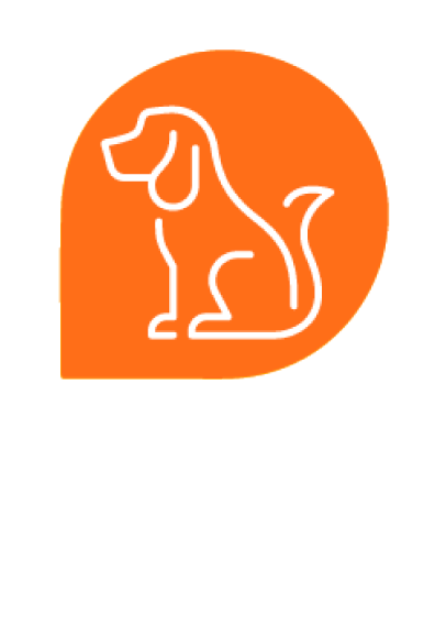 Training orange icon dog sitting