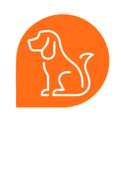 Training orange icon dog sitting