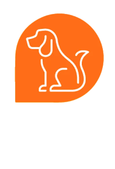 Training orange icon dog sitting Training orange icon dog sitting