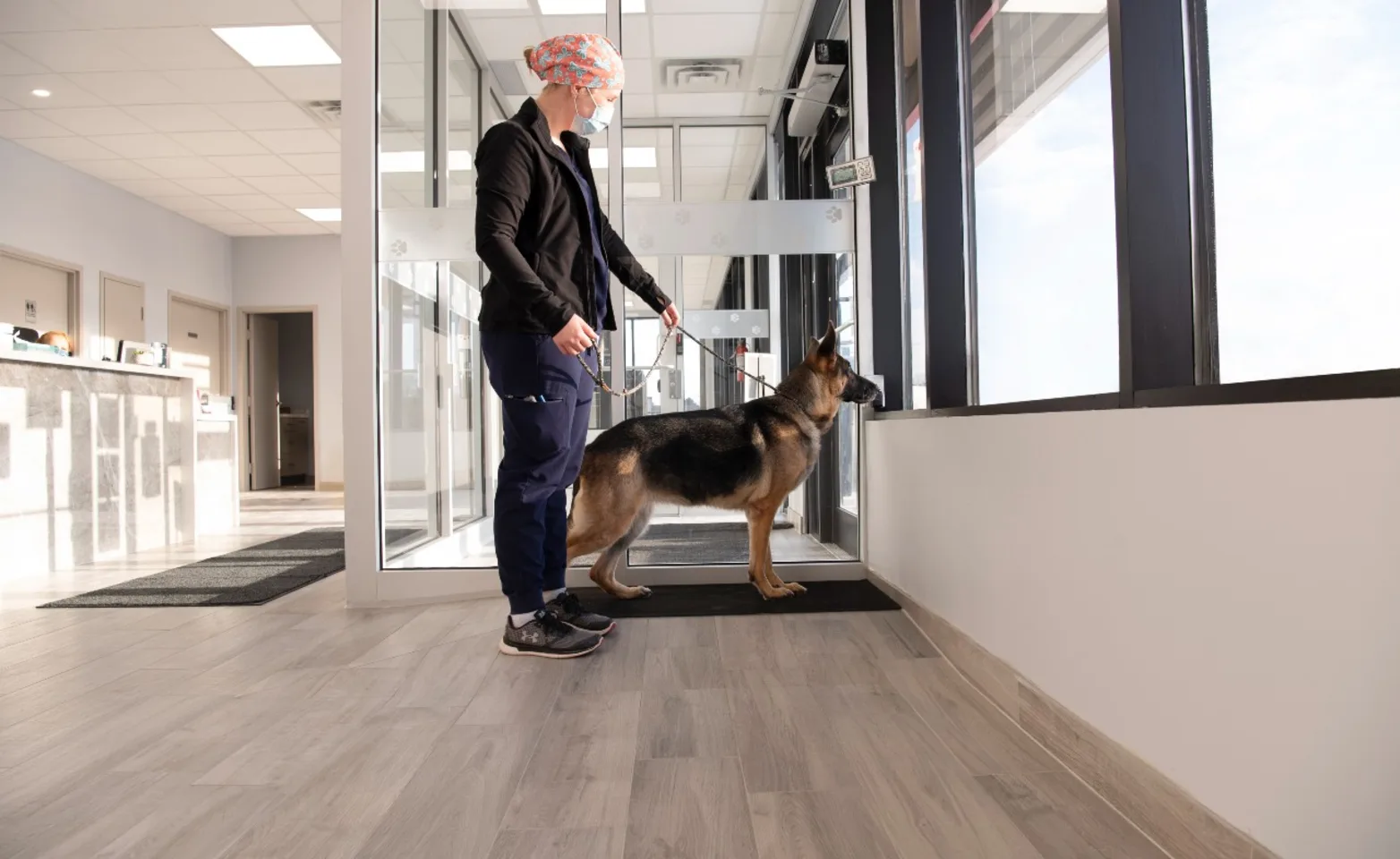 Woman holding dog on leash Woman holding dog on leash