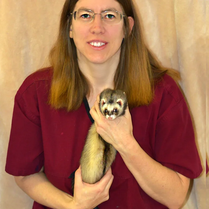 Lange Veterinary Center Vanessa Licensed Technician (RVT) Lange Veterinary Center Vanessa Licensed Technician (RVT)