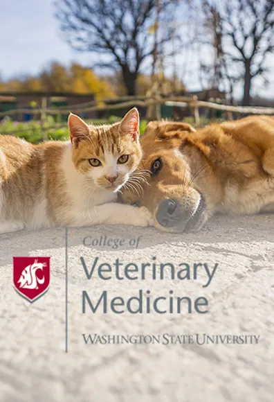 Washington State University logo over image of cat and dog outside Washington State University logo over image of cat and dog outside