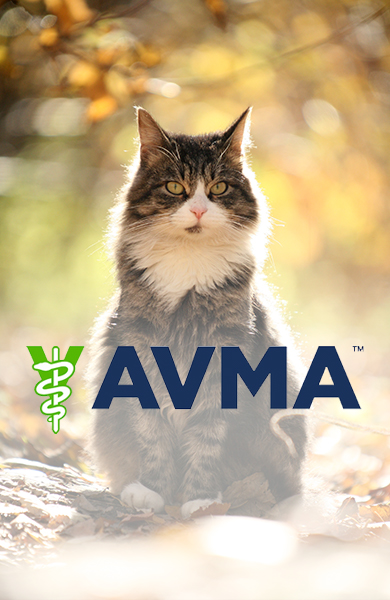 AVMA logo in front of a cat outdoors