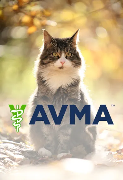 AVMA logo in front of a cat outdoors