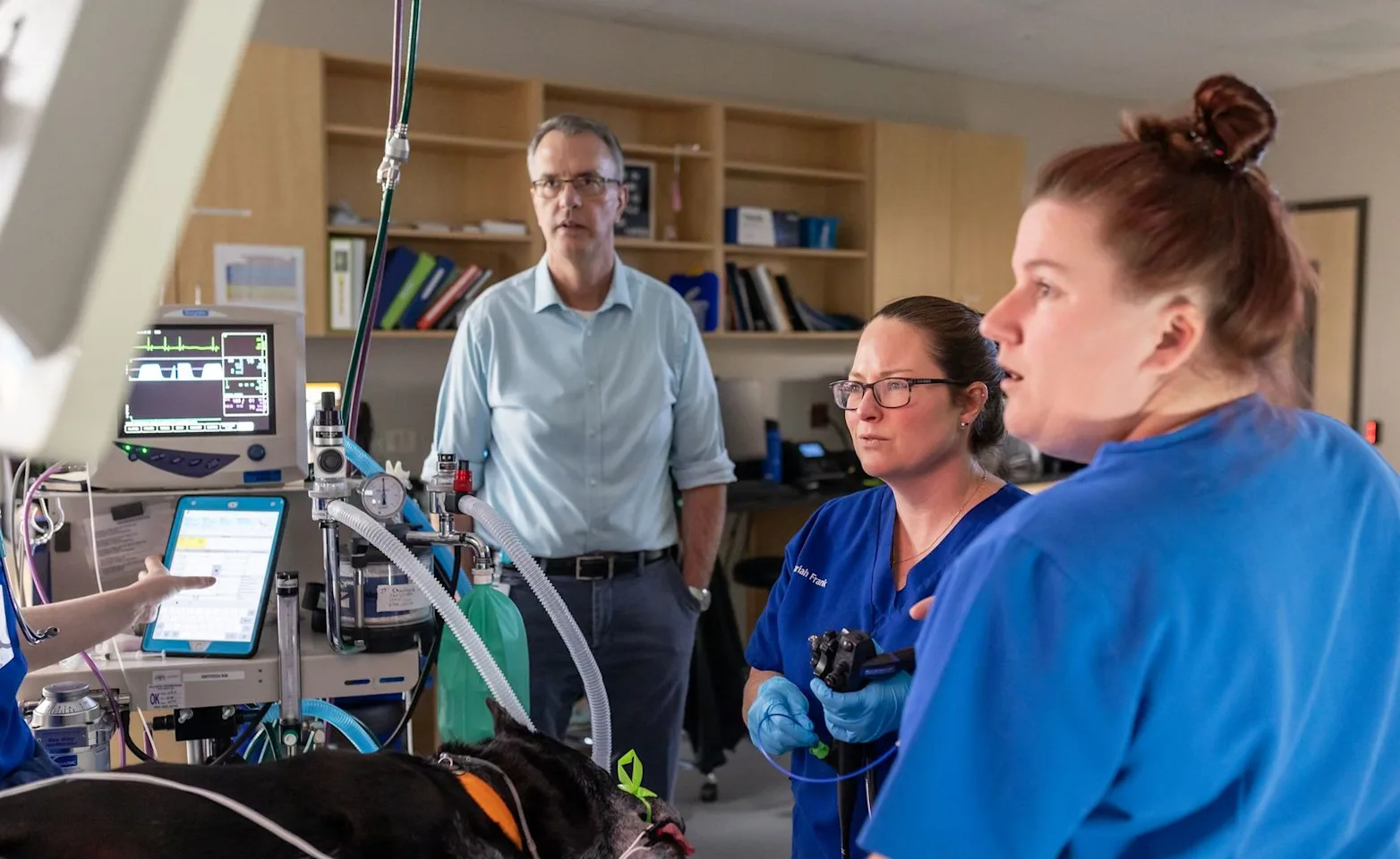 Staff performing an endoscopic procedure Staff performing an endoscopic procedure