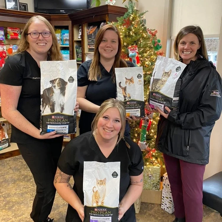 Veterinarians holding bags of dog and cat food