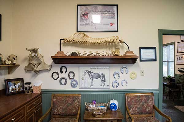 Hospital Wall of Virginia Imaging Equine