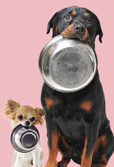 dogs with bowls in their mouths on light pink back ground dogs with bowls in their mouths on light pink back ground