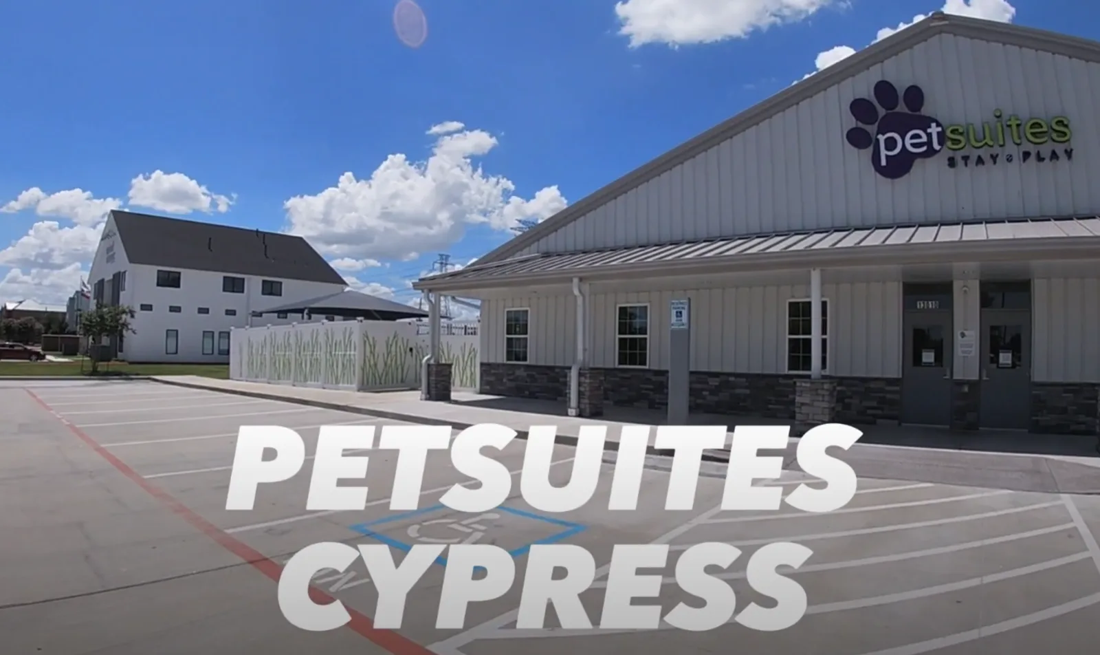 PetSuites Cypress Virtual Tour Video