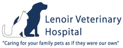 Lenoir Veterinary Hospital Logo