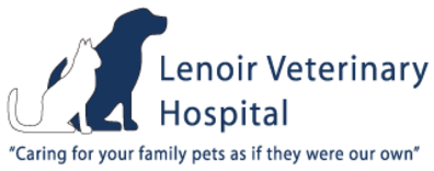 Lenoir Veterinary Hospital Logo Lenoir Veterinary Hospital Logo
