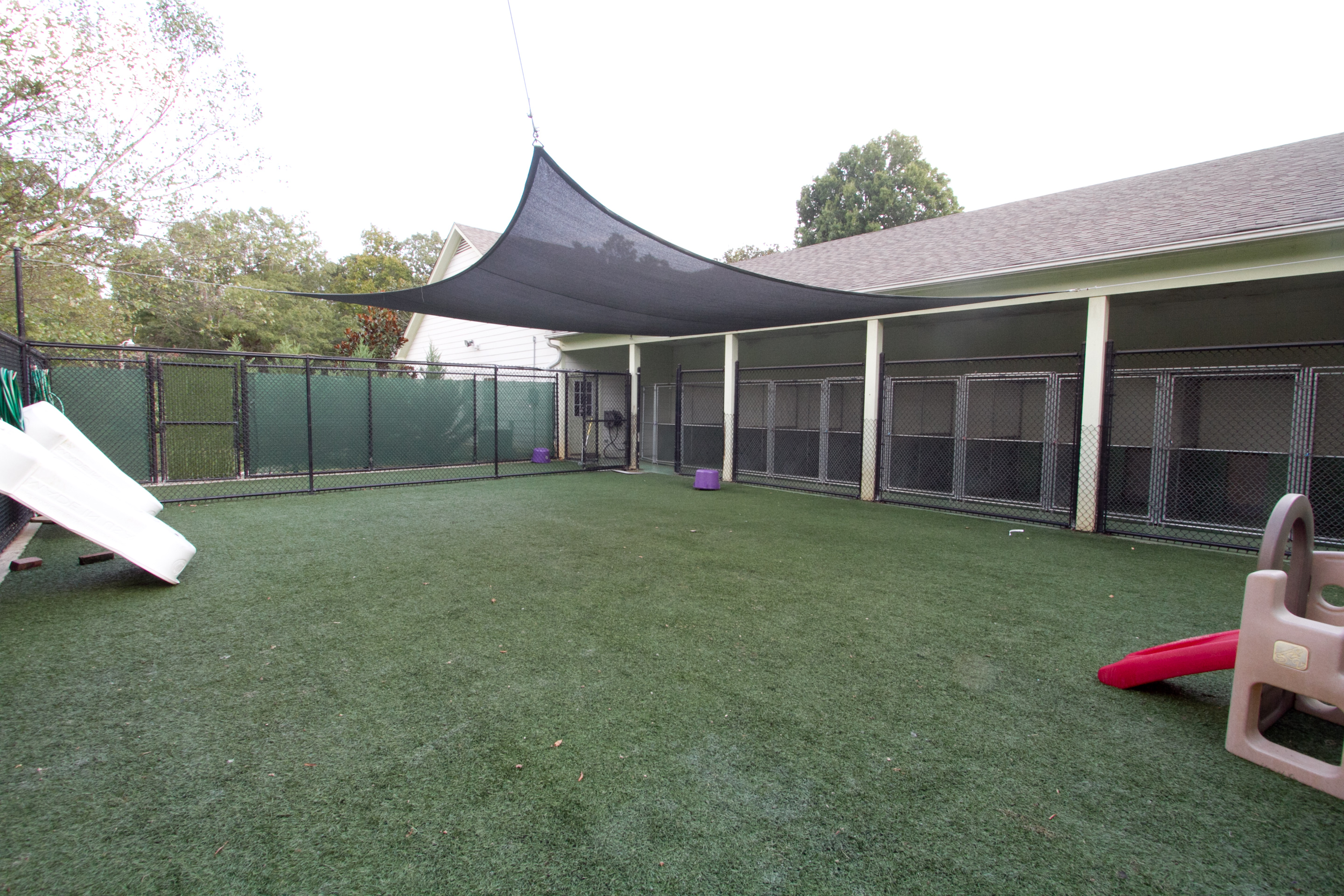 Pampered Paws Animal Hospital Play Area