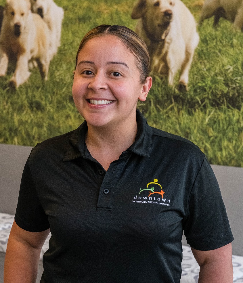 Ivelise Lopez from Tribeca Soho Animal Hospital