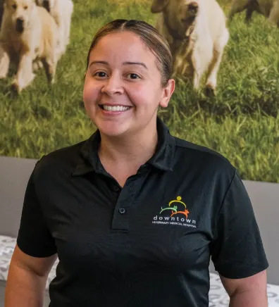 Ivelise Lopez from Tribeca Soho Animal Hospital Ivelise Lopez from Tribeca Soho Animal Hospital