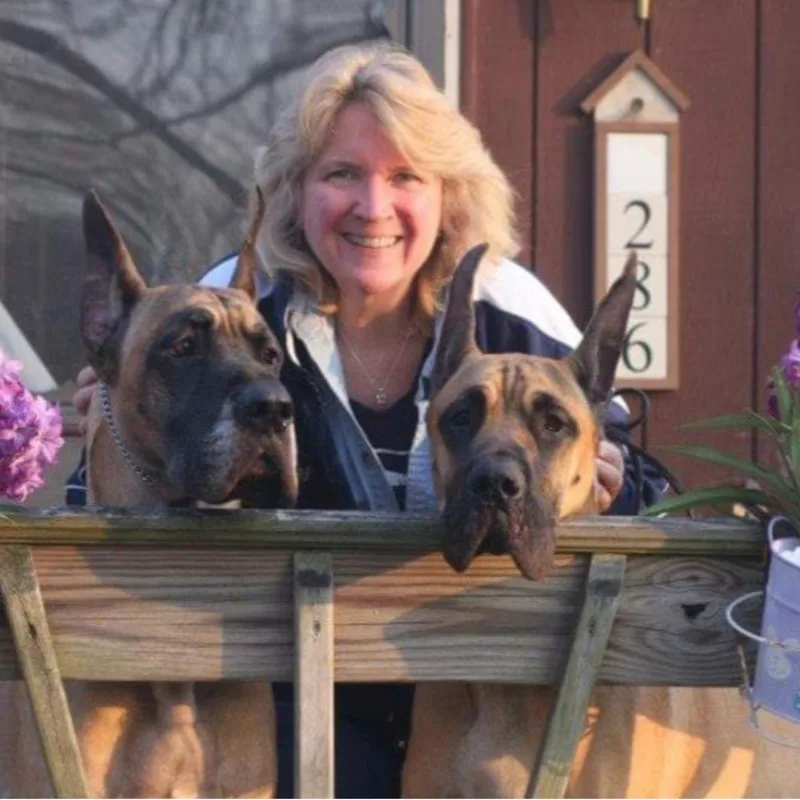 Denise Yazujian Denise Yazujian