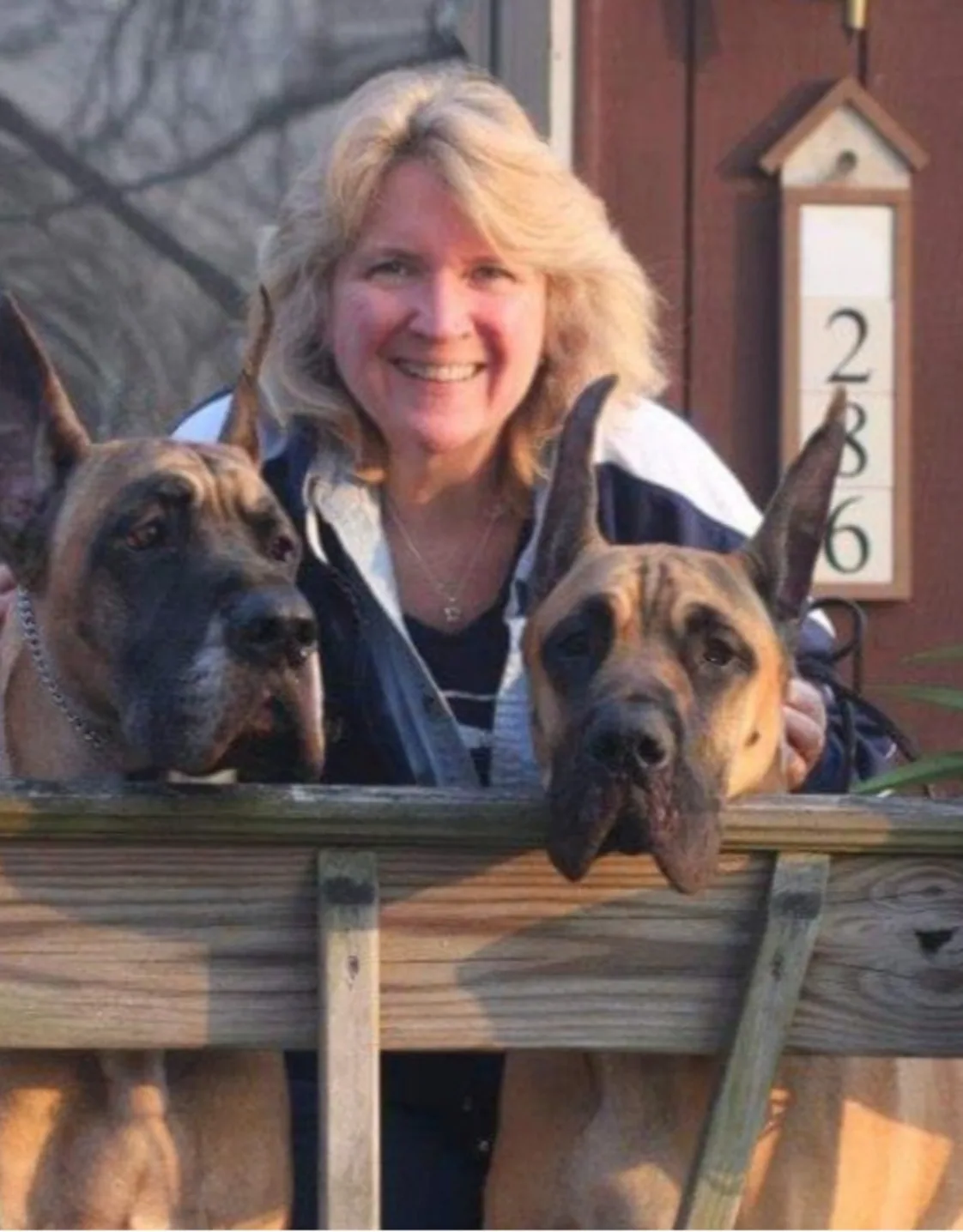 Denise Yazujian Denise Yazujian