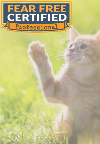 Kitten pawing at flowers in a field