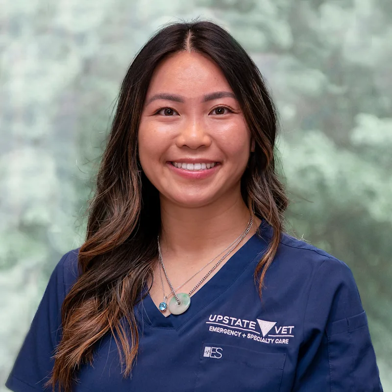 Dr. Katrina Gong Dr. Katrina Gong