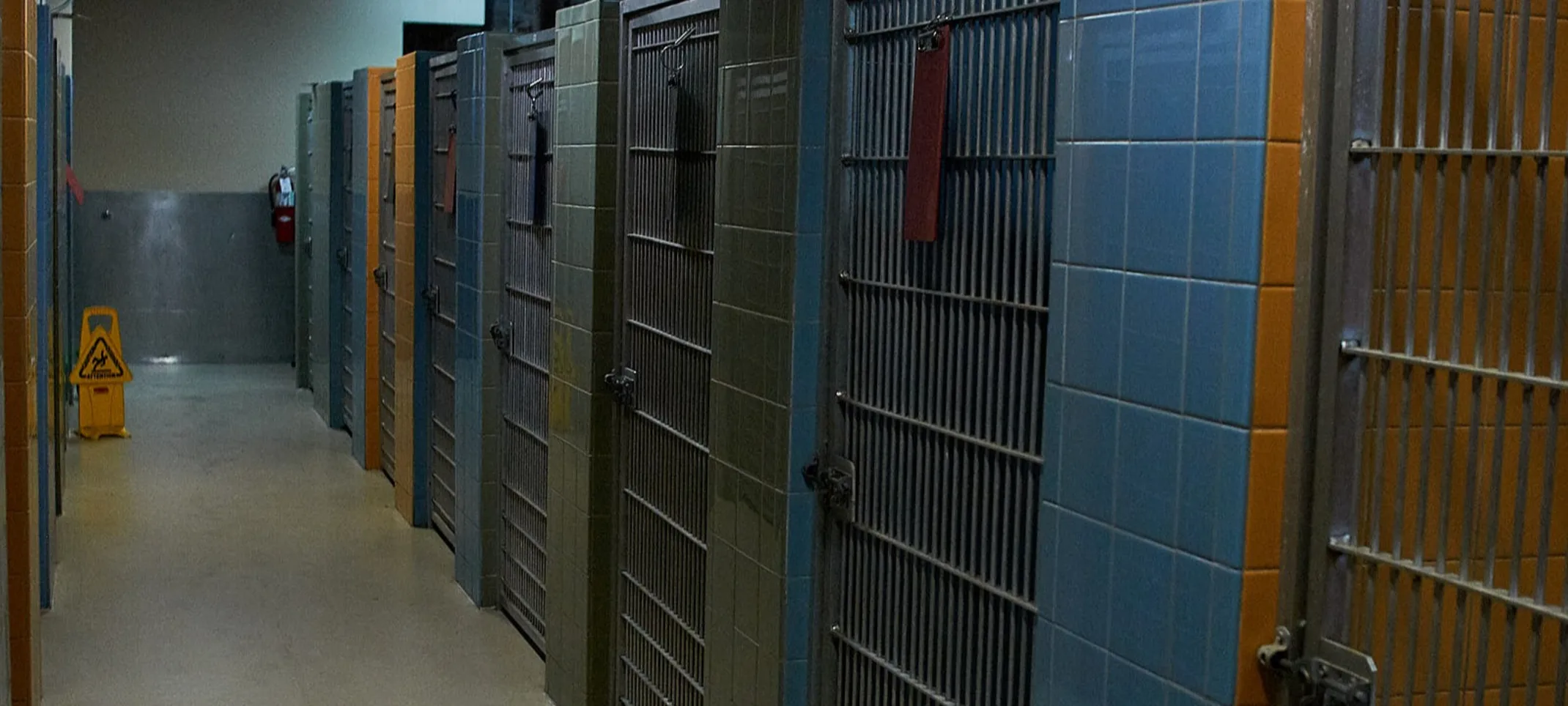 Kennels Kennels