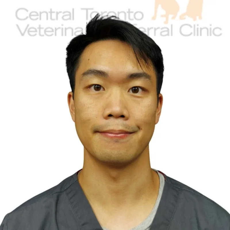 Andrew Chong Andrew Chong