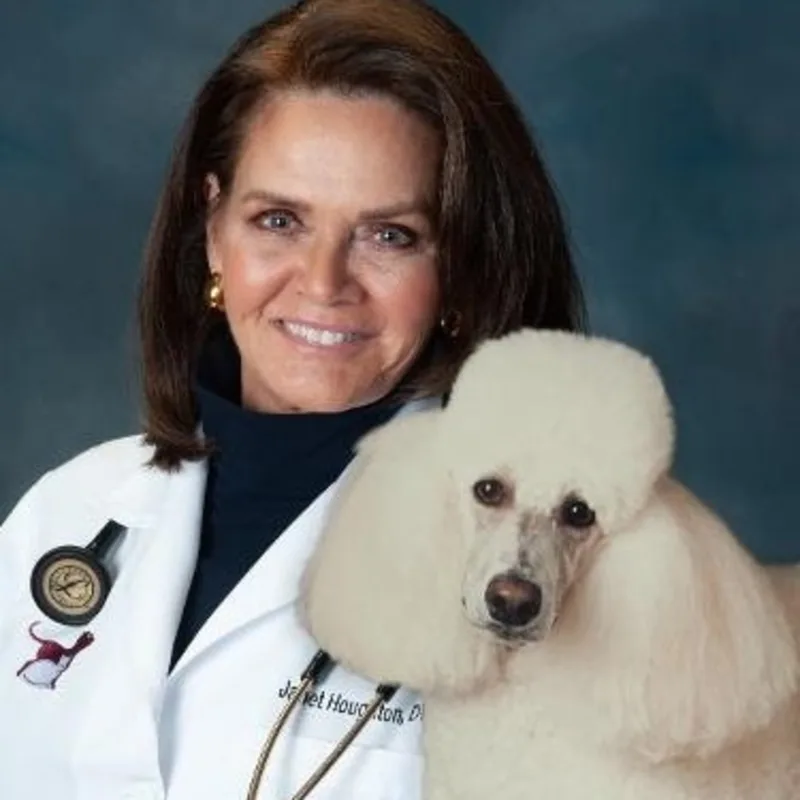 Janet Houghton Janet Houghton