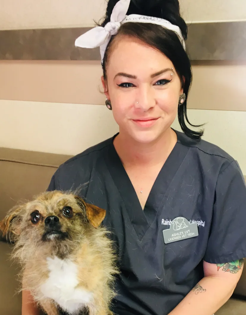 Ashley and small dog at Rainbow Animal Hospital