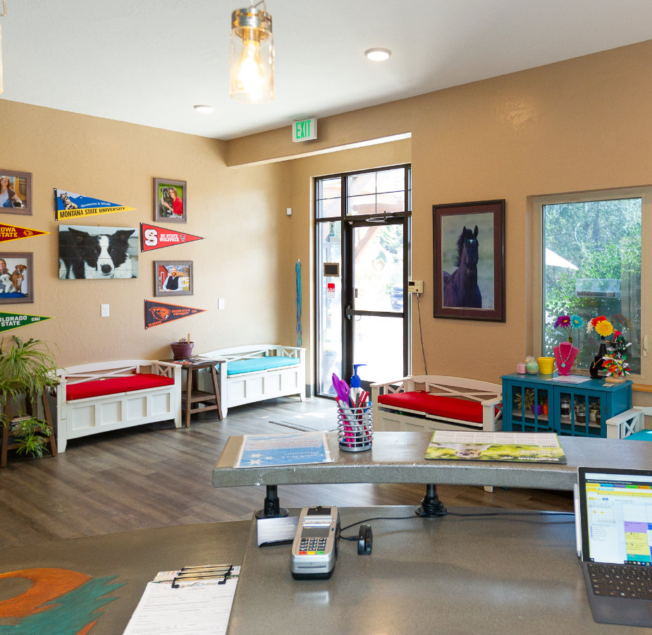 Front entrance lobby from the desk view