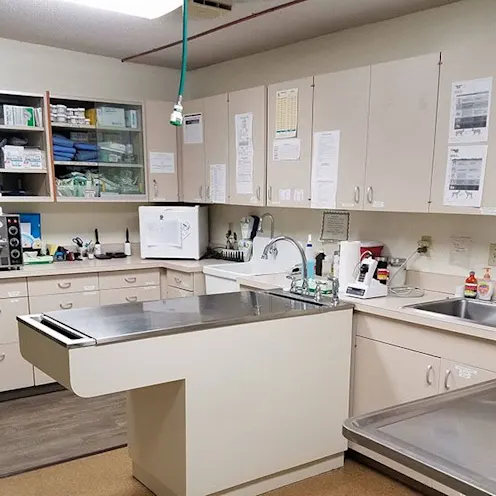 Examination Area Examination Area