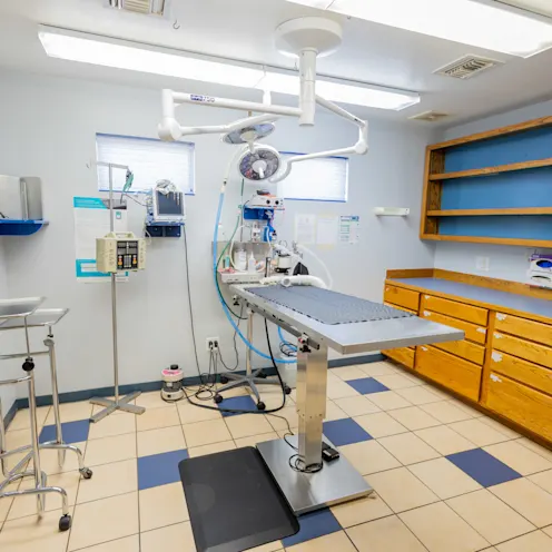 Exam Table Exam Table