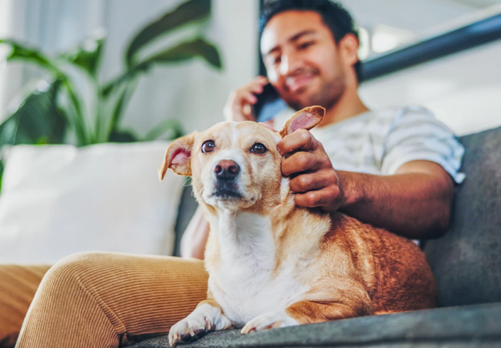 A man on the phone while sitting with his dog on the couch. A man on the phone while sitting with his dog on the couch.